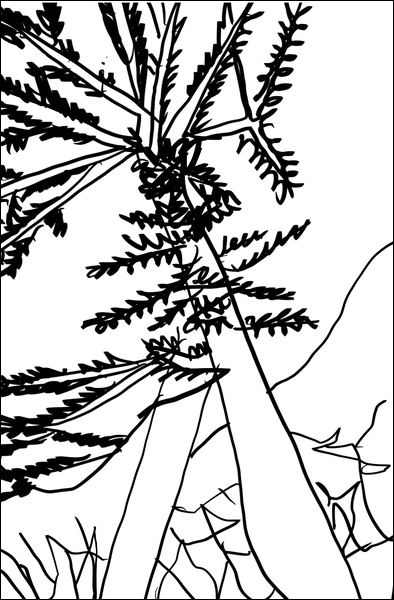 장병언, Digital Drawing, digital_work, 2026